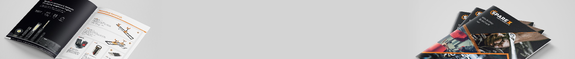 Workshop Skinny Banner